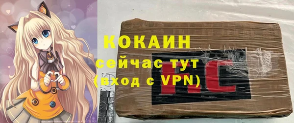 гидра Пересвет