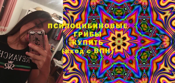 гидра Пересвет